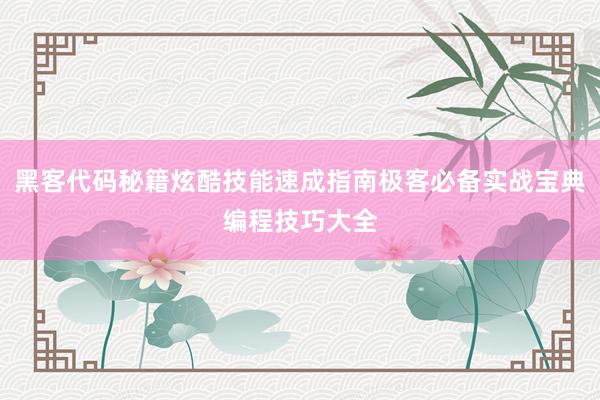 黑客代码秘籍炫酷技能速成指南极客必备实战宝典编程技巧大全