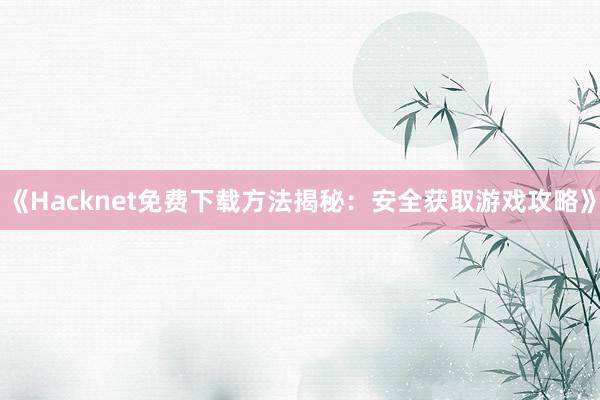 《Hacknet免费下载方法揭秘：安全获取游戏攻略》